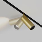 Трековый светильник Maytoni TR032-2-12W4K-S-MG Focus LED