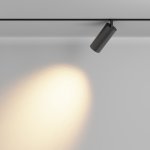 Трековый светильник Maytoni TR032-2-20W2.7K-M-B Focus LED