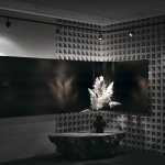 Трековый светильник Maytoni TR085-1-5W4K-B Orlo