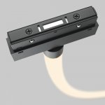 Трековый подвесной светильник Maytoni TR101-2-100W3K-B Tau