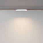 Трековый подвесной светильник Maytoni TR128B-12W3K-M-W Points