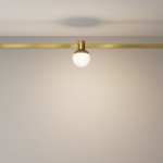 Трековый светильник Maytoni TR149-1-5W3K-BS Luna