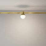 Трековый светильник Maytoni TR149-1-5W4K-BS Luna