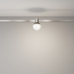 Трековый светильник Technical TR149-1-5W4K-PT