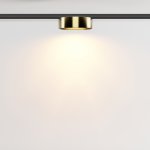 Трековый светильник Maytoni TR189-1-12W2.7K-BBS Zon