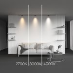 Трековый светильник Maytoni TR193-1-5W2.7K-M-B Points