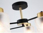 Люстра на штанге со стеклянными плафонами Ambrella TR303325/6 BK/GD черный/золото E27/6 max 60W D680*270