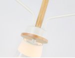 Подвесной светильник со сменной лампой Ambrella TR4737 TR