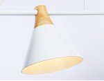 Подвесной светильник в стиле лофт Ambrella TR8196 TR