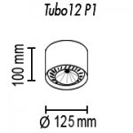 Потолочный светильник Tubo12 P1 10