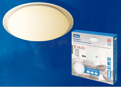 Светильник накладной Uniel ULI-D213 60W/SW/55 ARIES