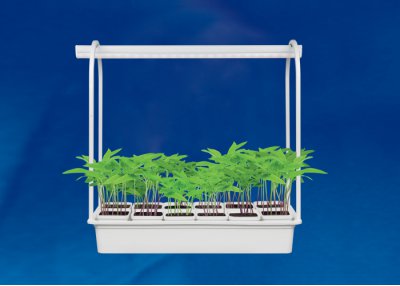 Светильник для растений Uniel UFP-G34S WHITE 12 Светильник для растений Uniel UFP-G34S WHITE 12