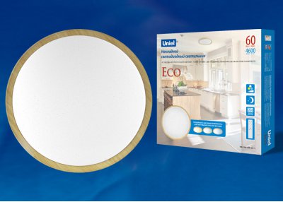 Светильник накладной Uniel ULI-D284 60W/SW/49 ECO