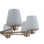 Подвесной светильник Indigo 13004/8P Gold TULIP