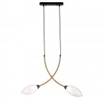 Подвесной светильник Indigo 13001/2P Black FIORE