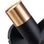 Настенный светильник Indigo 11036/2W Black DOPPIO