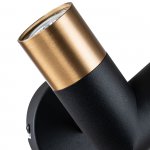 Настенный светильник Indigo 11036/2W Black DOPPIO