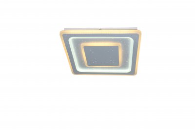 Светильник потолочный светодиодный Moderli V1090-CL Ameli LED*175W