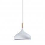 Подвесной светильник Moderli V1290-1P Eline 1*E27*60W