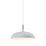 Подвесной светильник Moderli V1330-P Hygo 1*E27*60W