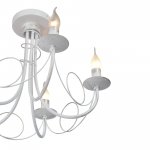 Vitaluce V3035-0/5PL