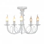 Vitaluce V3035-0/5PL