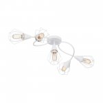 Vitaluce V3037-0/5PL