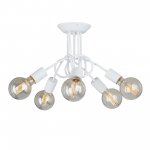 Vitaluce V3727-0/5PL