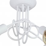 Vitaluce V3727-0/5PL