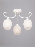 Vitaluce V3741-0/3PL