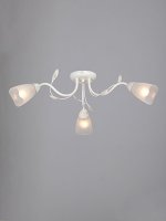 Vitaluce V3871-0/3PL