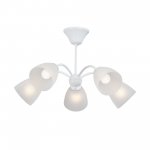 Vitaluce V3929-0/5PL