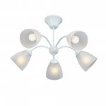 Vitaluce V3929-0/5PL