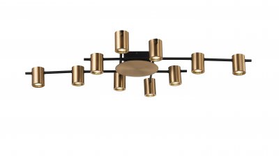 Настенно-потолочный светильник Moderli V4040-10C Nino