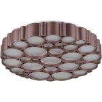 Потолочный светильник Vele luce VL7156l01 bible