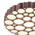 Потолочный светильник Vele luce VL7156l01 bible