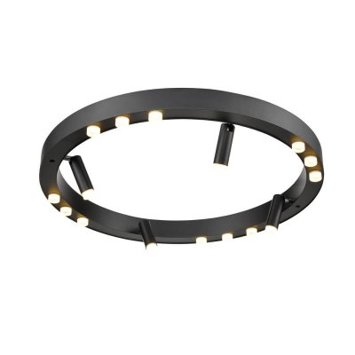 Потолочный светильник Vele Luce Satellite VL7172L12 Потолочный светильник Vele Luce Satellite VL7172L12