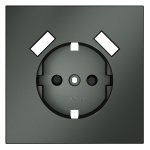 Накладка для розетки с заземлением и защитными шторками, с USB A+A, S70 (титан)