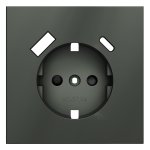 Накладка для розетки с заземлением и защитными шторками, с USB A+C, S70 (титан)