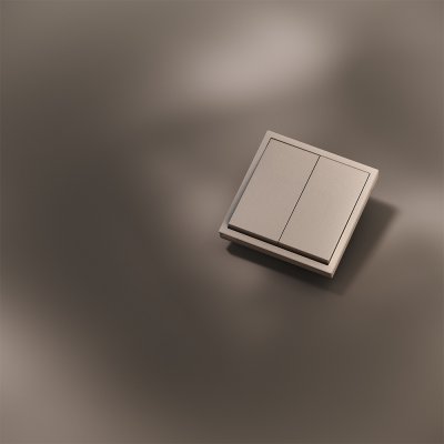 Клавиши для выключателя/переключателя двухклавишного, S70 Metal (платина) Клавиши для выключателя/переключателя двухклавишного, S70 Metal (платина)