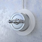 Рамка из стекла на 1 пост белый W0015101