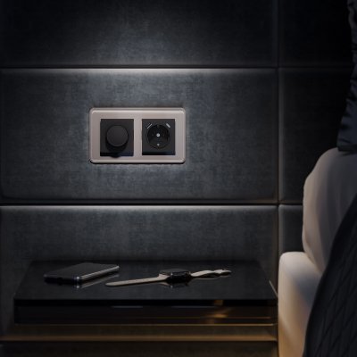 Рамка из стекла на 2 поста Elite дымчатый W0022417 Рамка из стекла на 2 поста Elite дымчатый W0022417