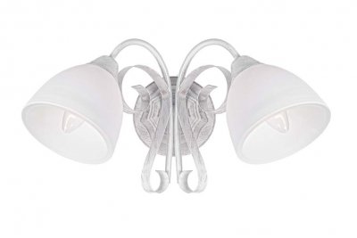 Светильник настенный бра Donolux W110179/2