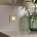 Розетка с подсветкой W (айвори матовый) W1171462