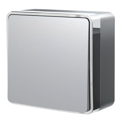 Выключатель одноклавишный проходной Gallant серебряный W5012006