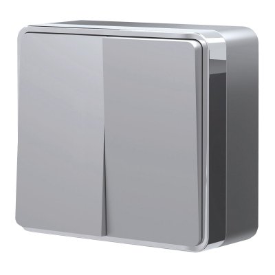 Выключатель двухклавишный Gallant серебряный W5020006