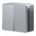 Выключатель двухклавишный Gallant серебряный W5020006
