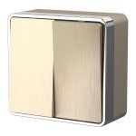 Выключатель двухклавишный Gallant шампань рифленый W5020010
