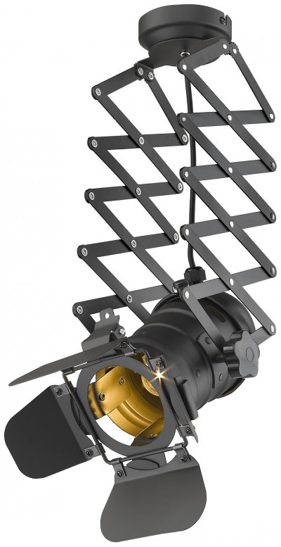 Светильник потолочный Wertmark WE290.01.007 LENKEN Светильник потолочный Wertmark WE290.01.007 LENKEN