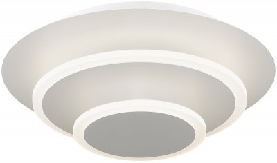 Светильник потолочный Wertmark WE416.02.007 GIRO